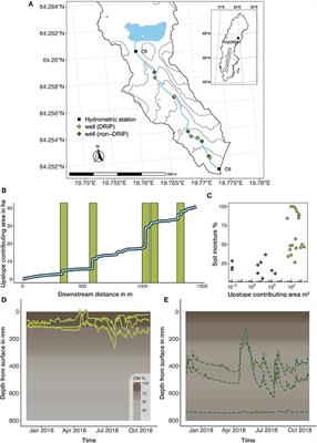 Groundwater, Soil, and Vegetation Interactions at Discrete Riparian Inflow Points (DRIPs) and Implications for Boreal Streams